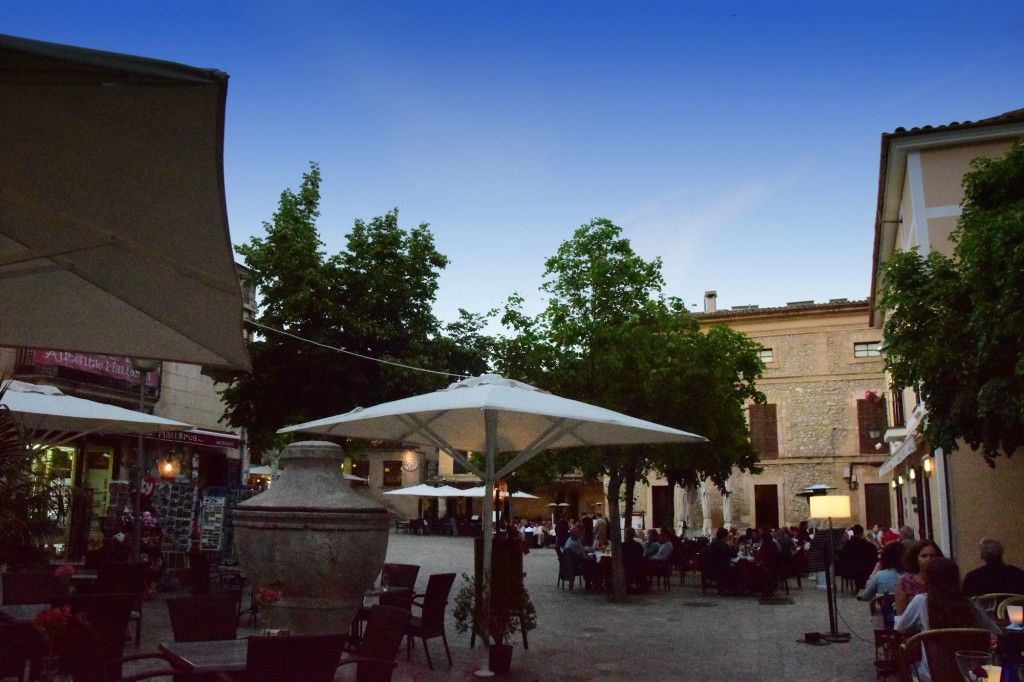 pollenca2