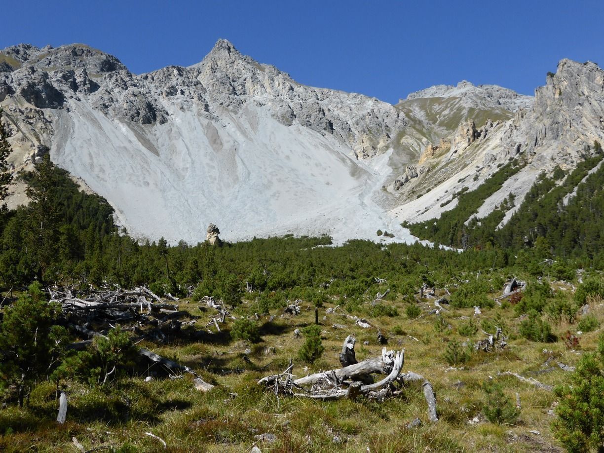 Unterwegs im Schweizer Nationalpark