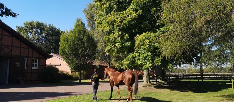 Gestüt Fährhof – auf den Spuren von Walter Jacobs