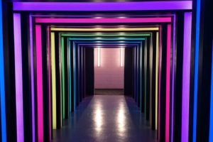 Willkommen in der WONDR Experience