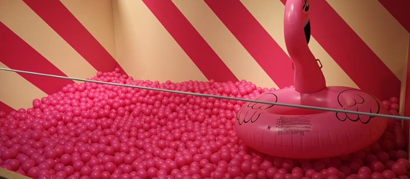 Instagram Museum in Wolfsburg – lohnt es sich?