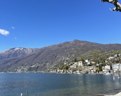 IMG_5972